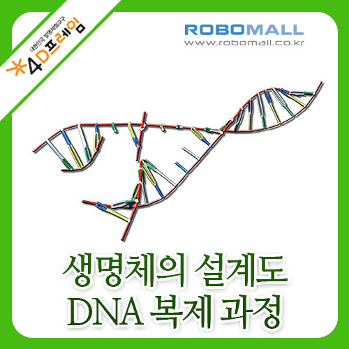 [4D프레임] 생명체의설계도 DNA복제과정/과학교구/포디프레임/조립/포디랜드