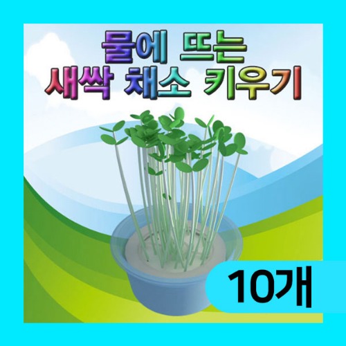 (물에 뜨는 새싹 채소 키우기-10인용) 에듀/부력/발아