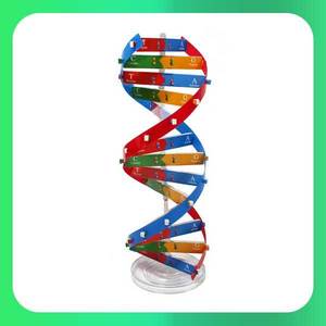 (DNA 이중나선 모형만들기) 상아/과학실험