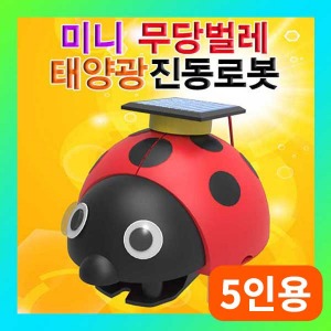 (미니 무당벌레 태양광 진동로봇-5인용)SUP/신재생