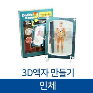 (3D액자 만들기-인체) ST 소화기 근육 뼈
