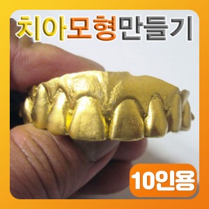 (치아모형만들기-10인용) EDU/치아의 구조와 기능