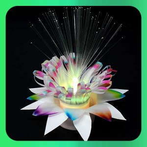 LED 크로마토그래피 꽃 가습기 1인용 SA 과학 실험