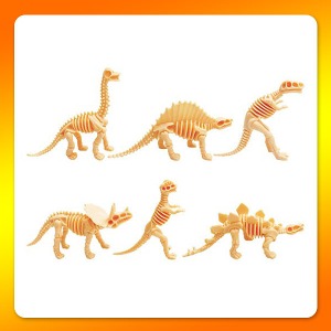 귀여운 미니 공룡뼈 6종세트 JR