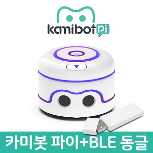 (6월 중순 입고예정)카미봇 파이 AI (동글 포함)